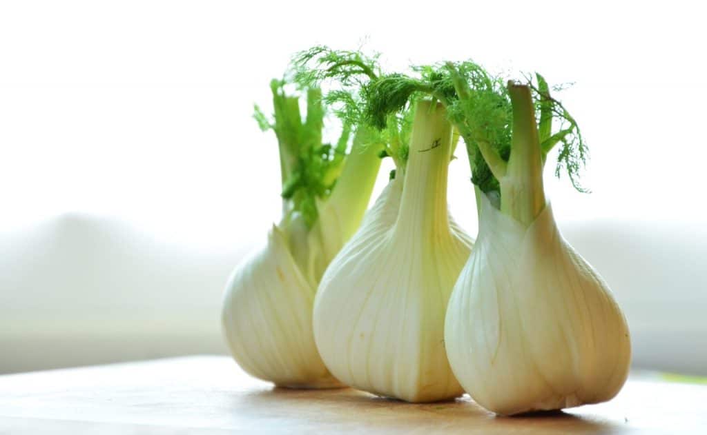 Fennel is effective against water retention