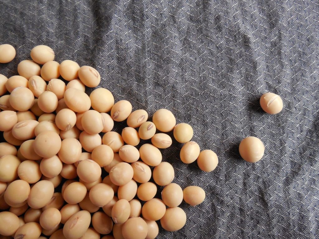 Soy lecithin comes from soy beans
