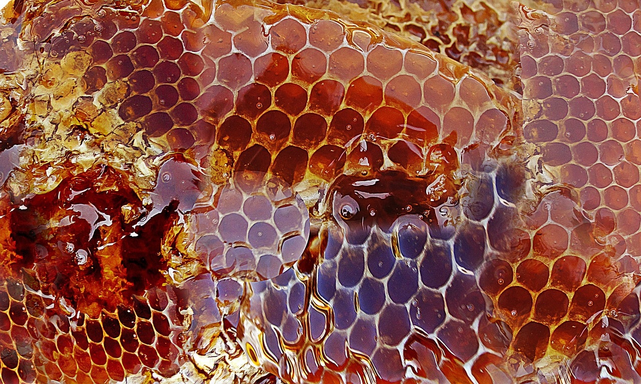 Does honey make you gain weight?