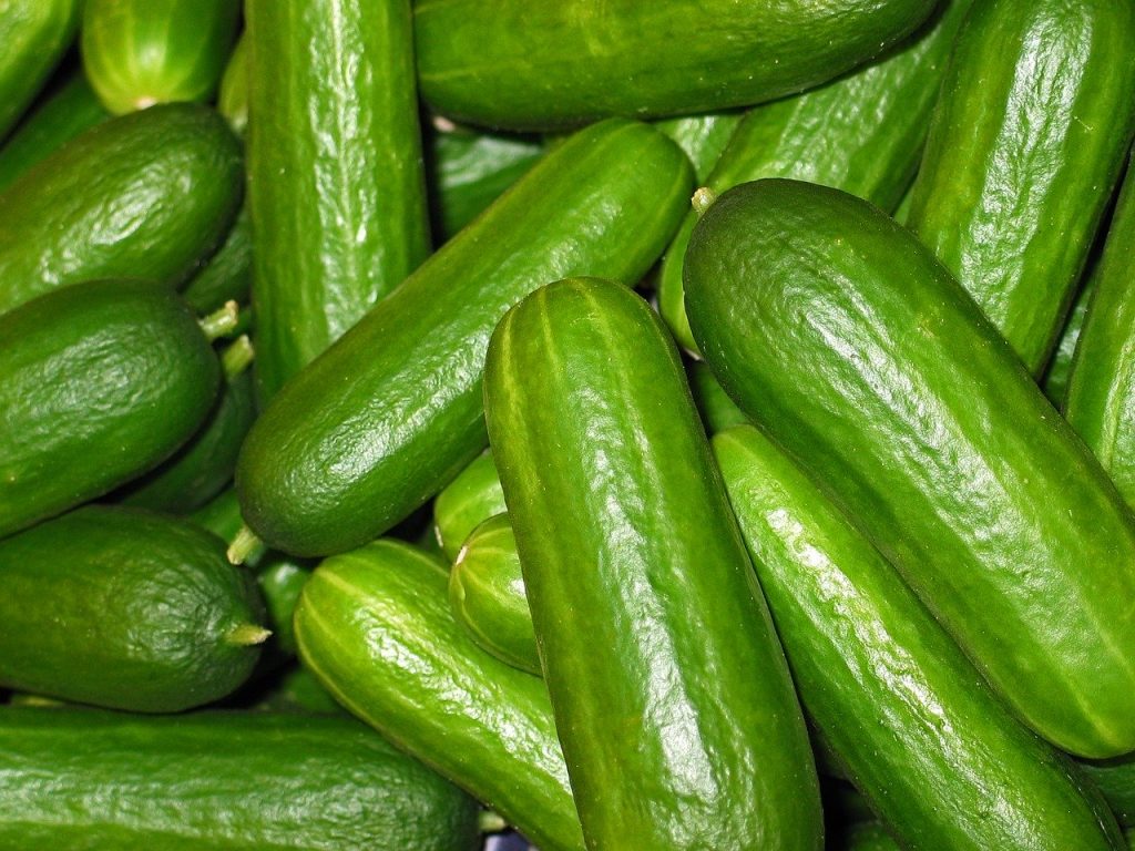 recognize the cucumber