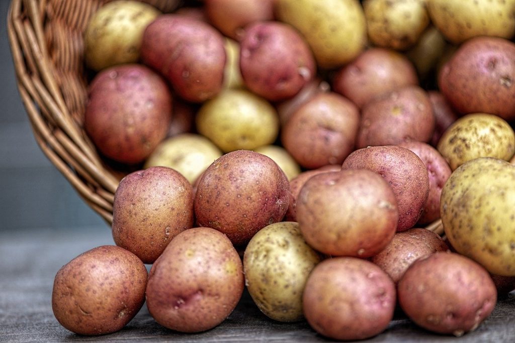 potatoes are starchy foods