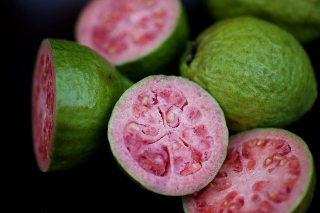 guava rich in vitamin c