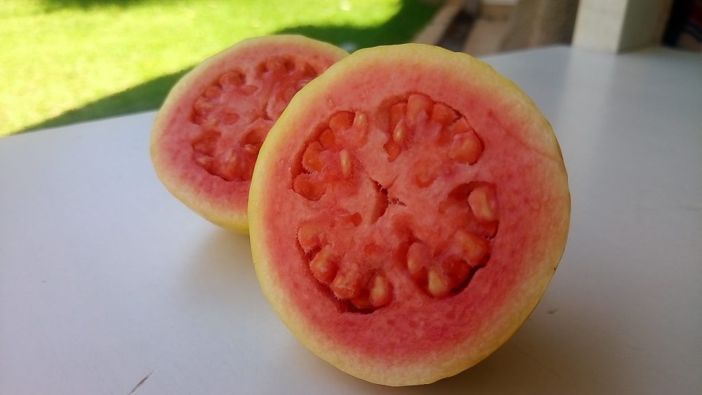 guava cut in half 