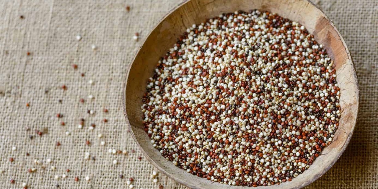 What is the quinoa diet?