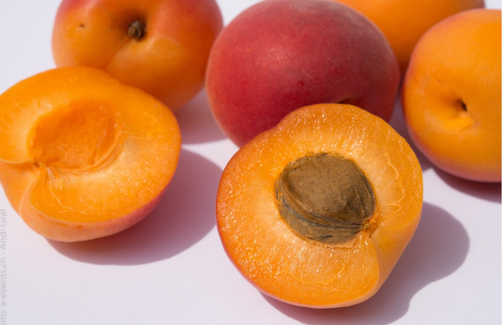 apricot calories