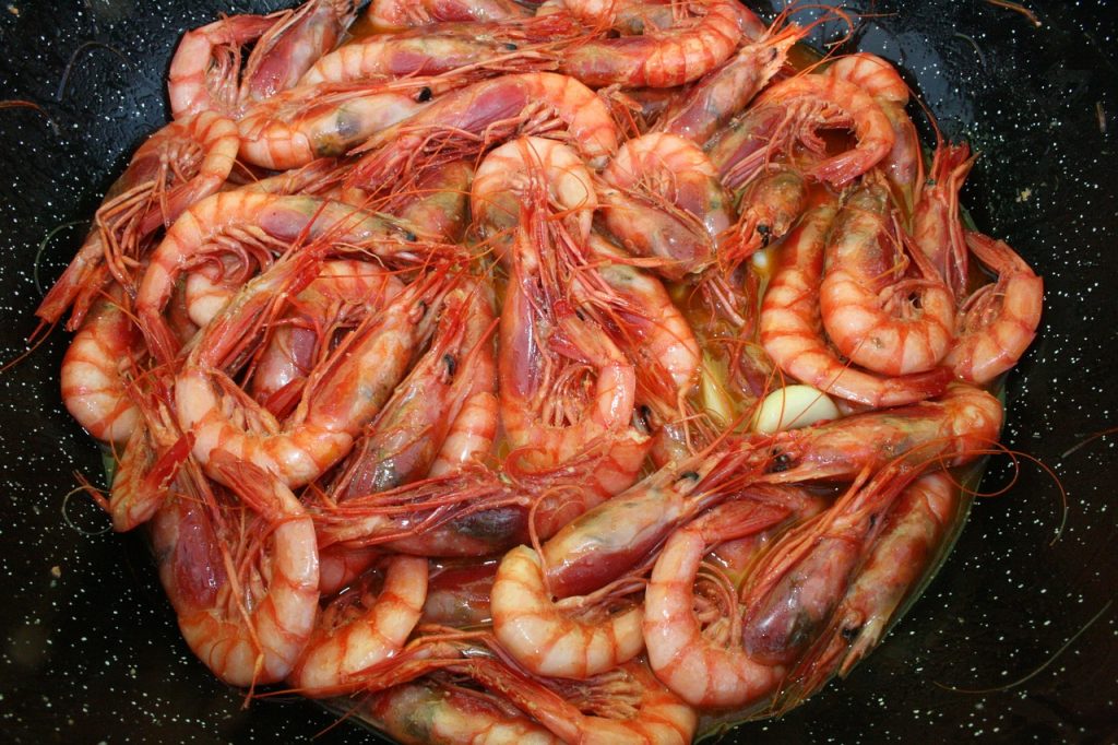 shrimp calories