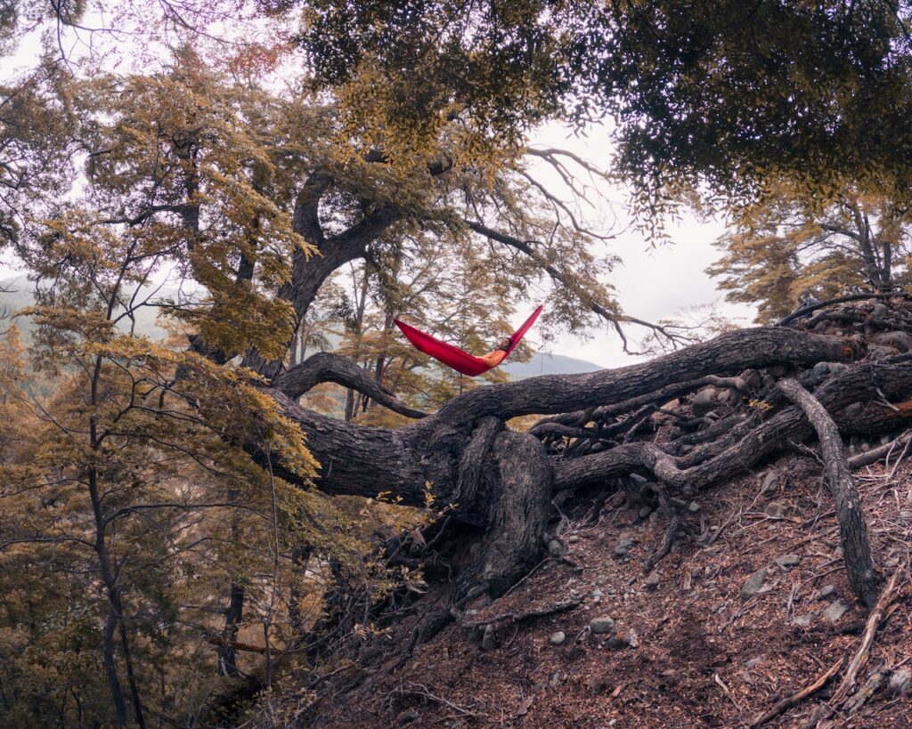 man lying in a hammock to relax in the middle of the forest in autumn