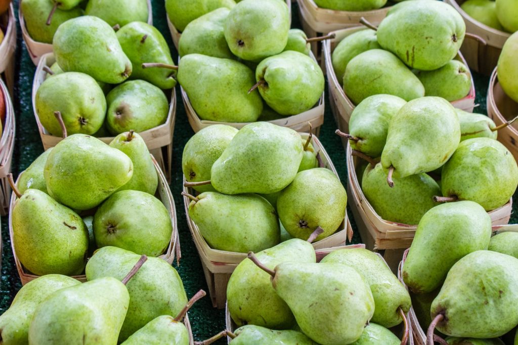 Seignalet diet pears